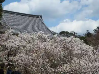 仁和寺(京都府)