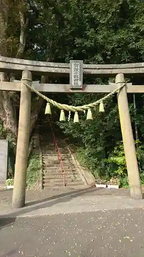 賀茂小鋭神社の鳥居