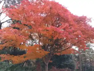 八坂神社(滋賀県)
