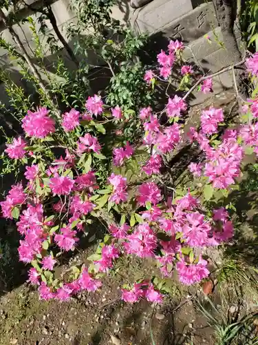 小野照崎神社(東京都)