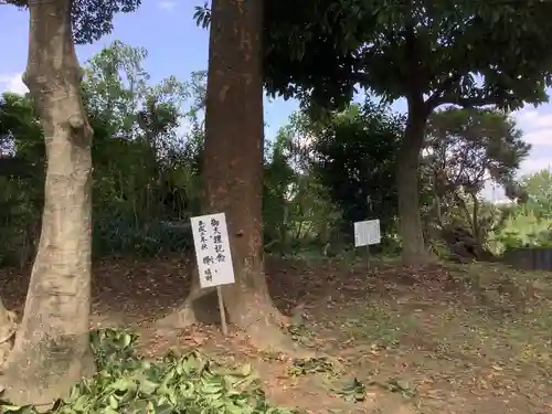 八幡社（宮後町）の自然