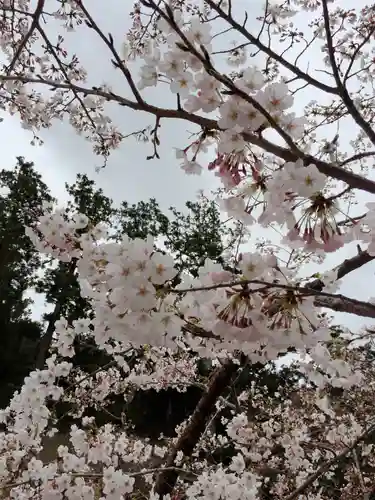 尊永寺の自然