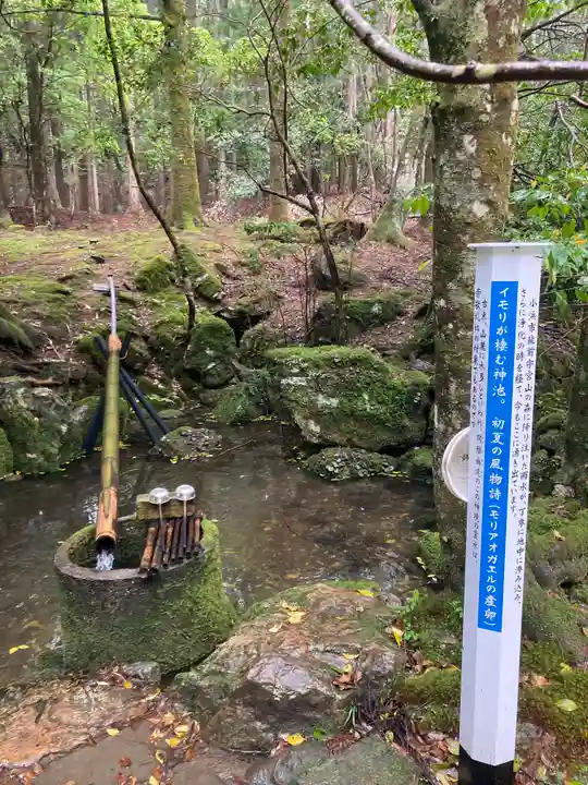 若狭彦神社(上社)(福井県)