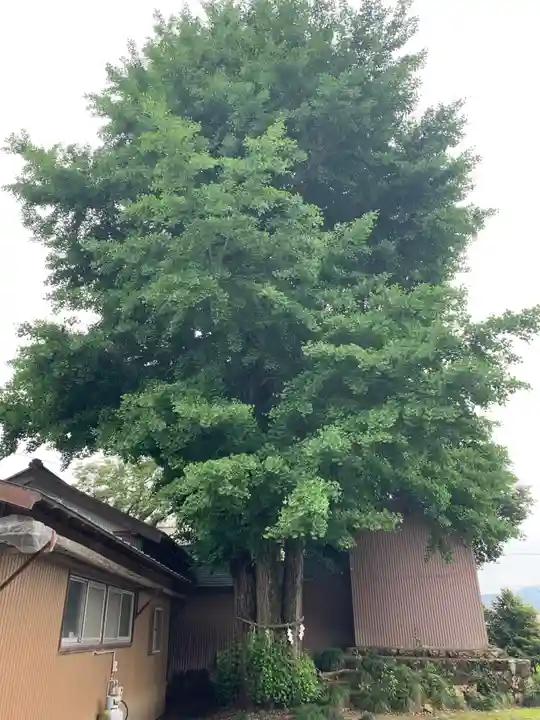 三嶋神社(静岡県)