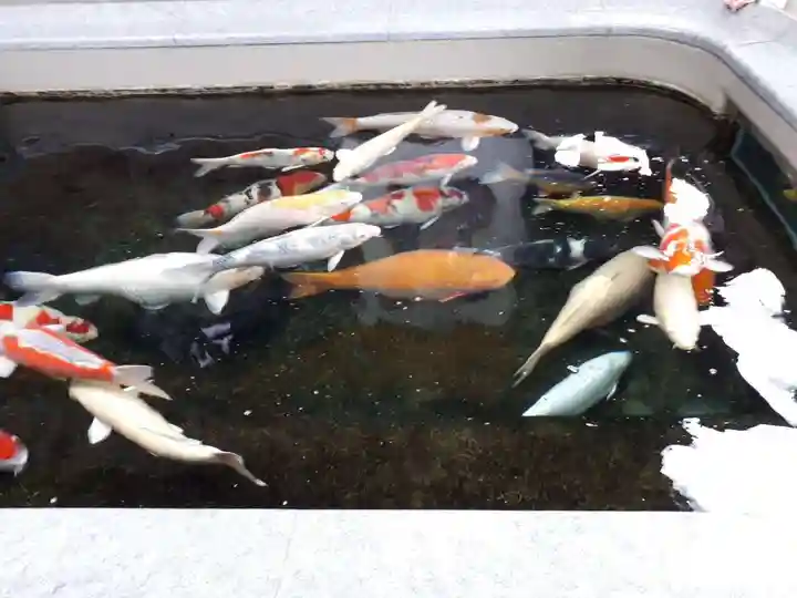 大聖観音寺(あびこ観音)(大阪府)