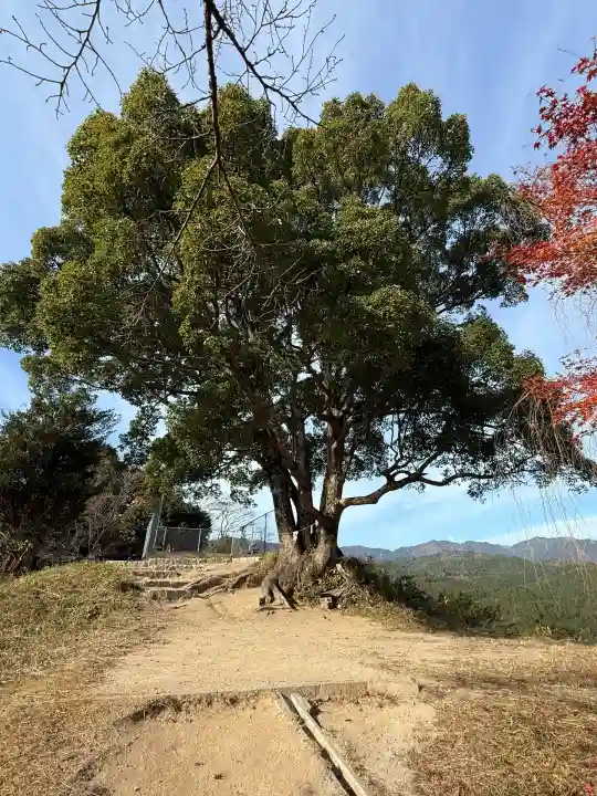 金刀比羅神社(岡山県)