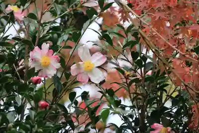 神炊館神社 ⁂奥州須賀川総鎮守⁂の自然