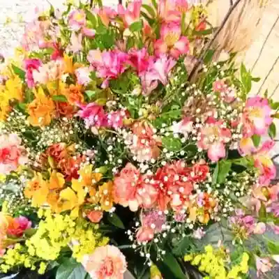 彌彦神社　(伊夜日子神社)の手水舎