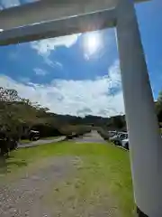 安房神社(千葉県)