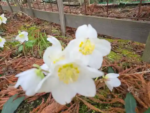 播州清水寺(兵庫県)