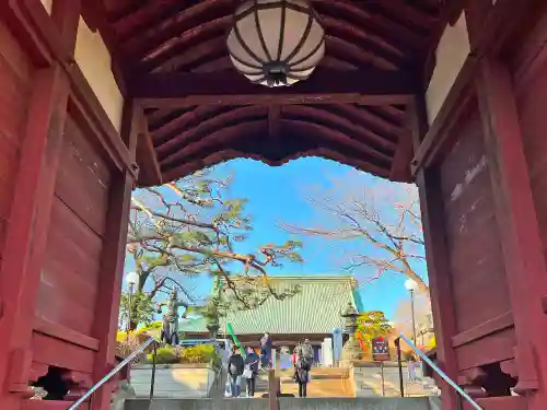 護国寺の本殿・本堂