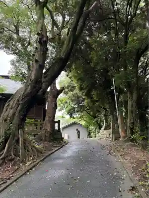 愛宕神社(福岡県)