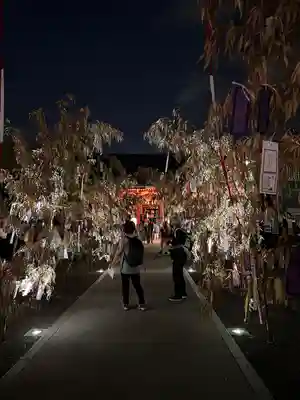 浅草神社のお祭り