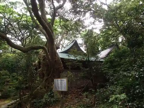 大湊神社（雄島）の本殿・本堂