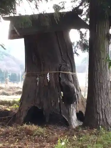 山家神社の自然