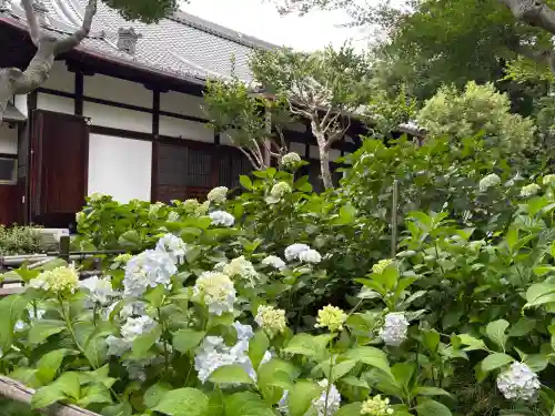 頼光寺(兵庫県)