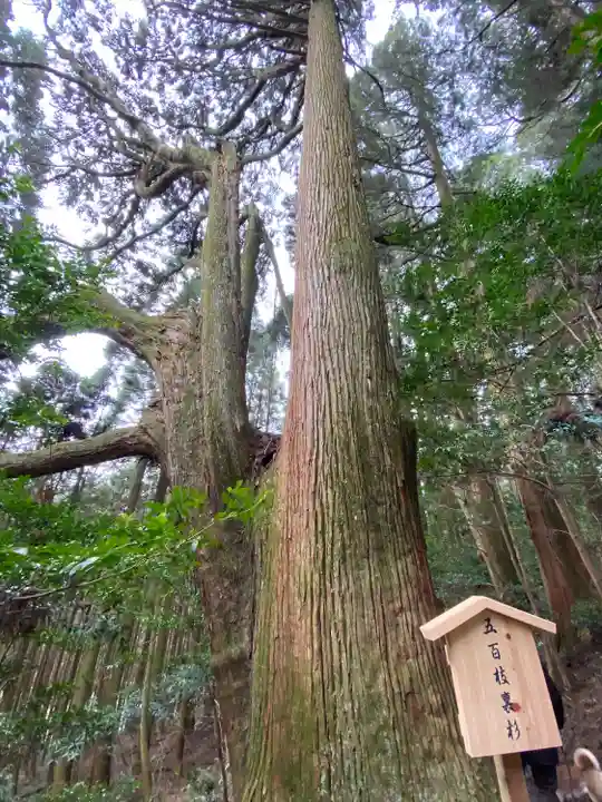 幣立神宮(熊本県)