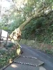 笠森寺(千葉県)