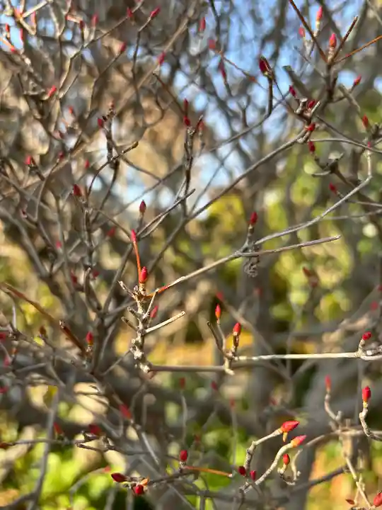 良仙寺(兵庫県)