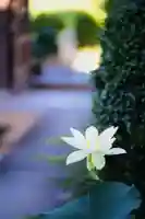 浄土寺(兵庫県)