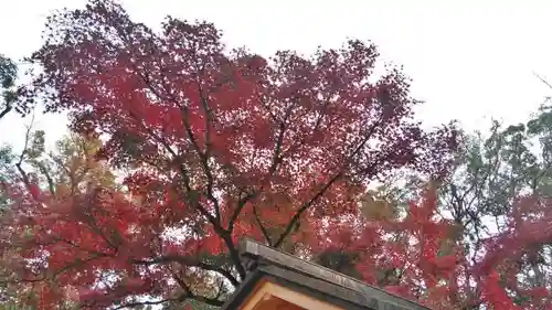 北野天満宮の庭園