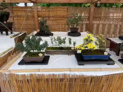 本願寺（西本願寺）(京都府)