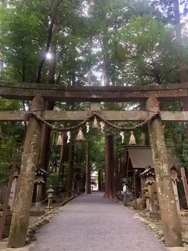 椿大神社の鳥居