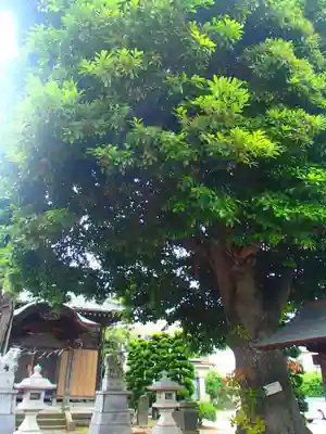 道庭香取神社のその他建物