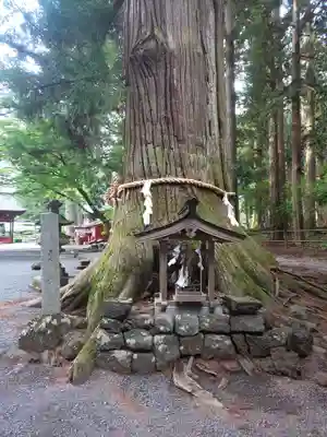 北口本宮冨士浅間神社(山梨県)