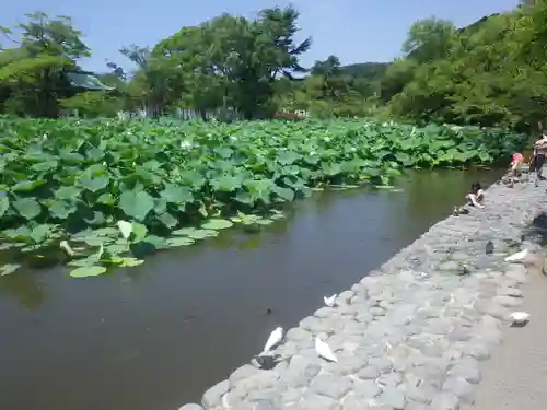 鶴岡八幡宮の庭園