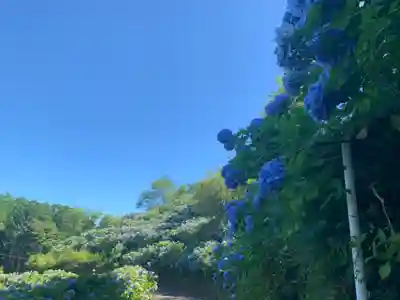 妙法生寺の自然