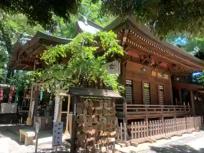 座間神社の本殿・本堂