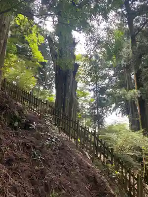 玉置神社(奈良県)