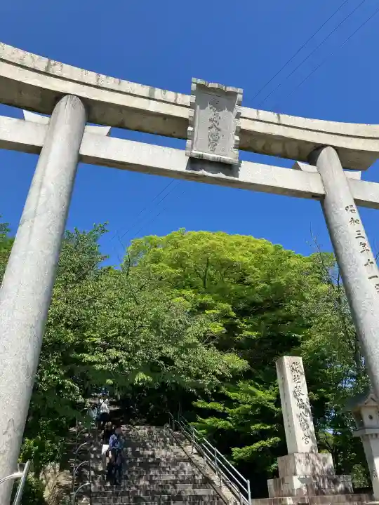 琴崎八幡宮の{uncategorized: "未分類", other: "その他", undefined: "問題あり", building: "その他建物", grave: "お墓", sacred_gate: "鳥居", guardian: "狛犬", statue: "像", buddha: "仏像", history: "歴史", nature: "自然", garden: "庭園", animal: "動物", pagoda: "塔", temizu: "手水舎", mountain_gate: "山門・神門", sanctuary: "本殿・本堂", subordinate: "末社・摂社", art: "芸術", scenery: "景色", jizo: "地蔵", ema: "絵馬", goshuin: "御朱印", omikuji: "おみくじ", items: "授与品その他", amulet: "お守り", goshuincho: "御朱印帳", eats: "食事", festival: "お祭り", votive_dance: "神楽", shichigosan: "七五三参", wedding: "結婚式", experience: "体験その他", initially: "初詣", around: "周辺", anti_infection: "感染症対策"}