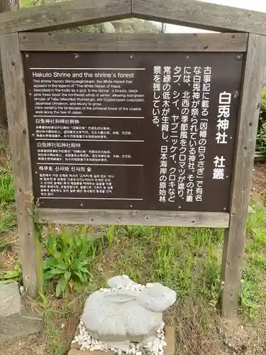 白兎神社の歴史