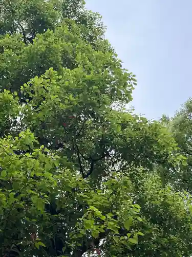 蒲田八幡神社(東京都)