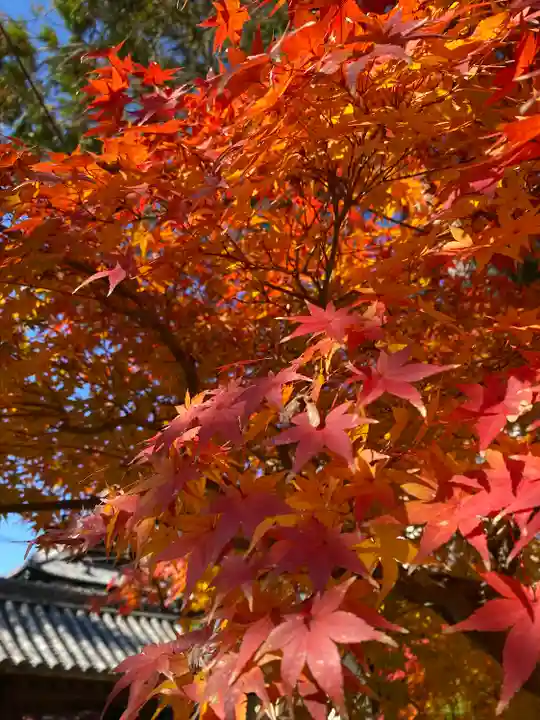 曹源寺(岡山県)