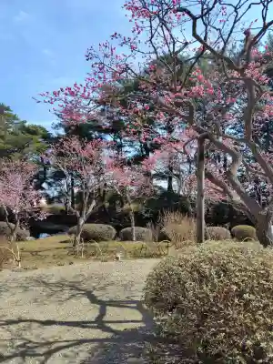 山神社(宮城県)
