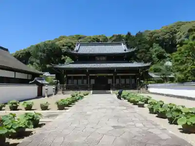 萬福寺の本殿・本堂
