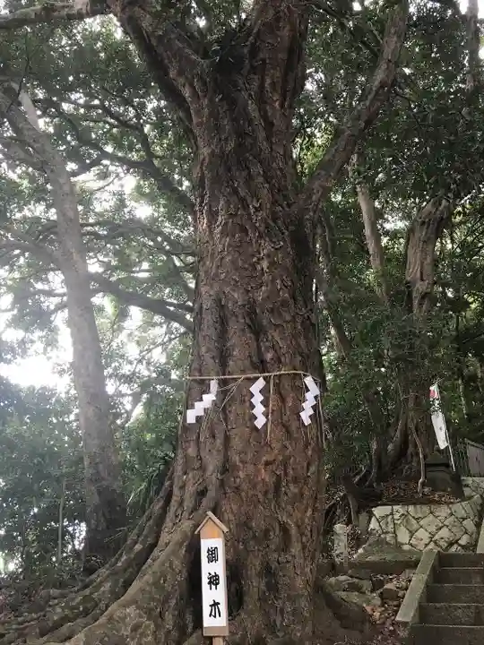 浅間神社の自然