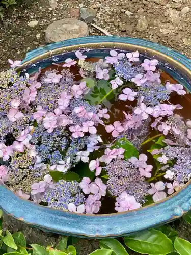 萬福寺(京都府)