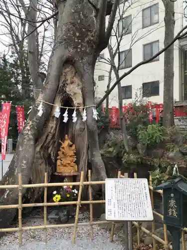 秩父今宮神社の自然