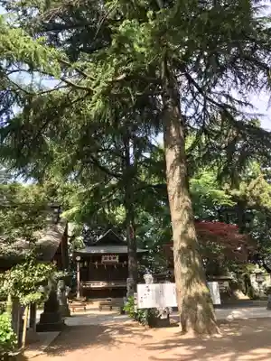 大宝八幡宮(茨城県)