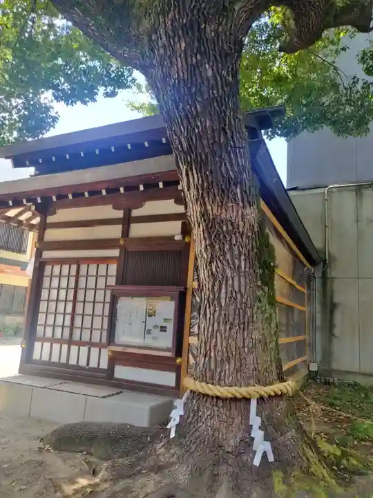堀川戎神社(大阪府)