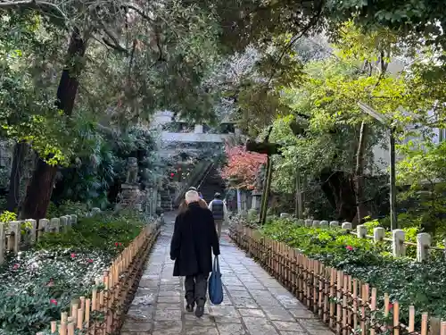 赤坂氷川神社(東京都)