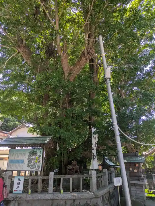 海南神社(神奈川県)