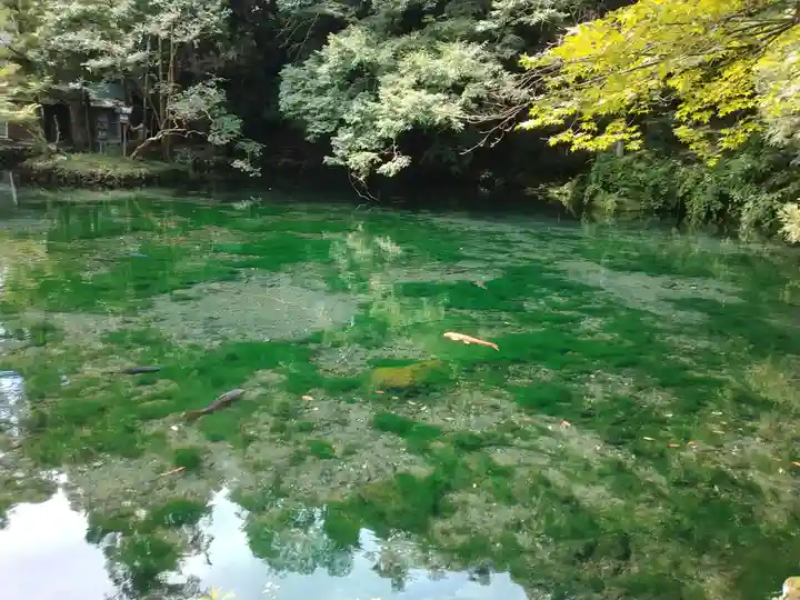 涌釜神社(栃木県)