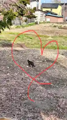 古泉神社(北海道)