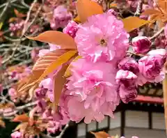 鹿島台神社の自然