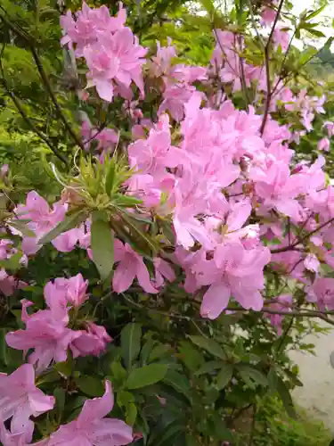 国宝　長寿寺の自然